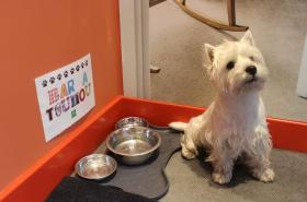 ibis Styles Lille Centre Grand Place - photo 8