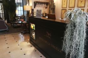 Hôtel de la Treille - photo 18