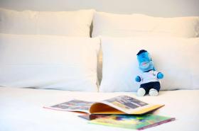Novotel Lille Centre Grand Place - photo 18