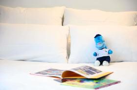 Novotel Lille Centre Grand Place - photo 12